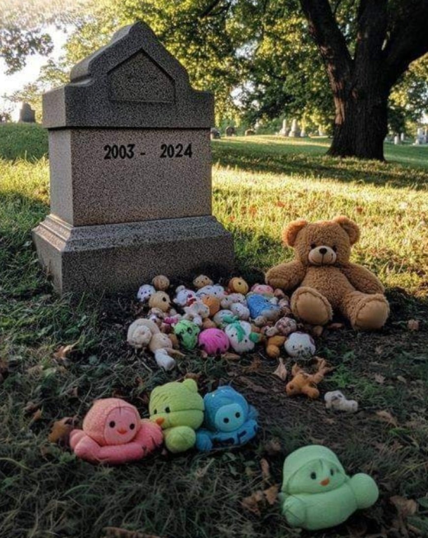 Every Day after 21-Year-Old Son’s Death, Grieving Mom Finds Baby Toys on His Grave